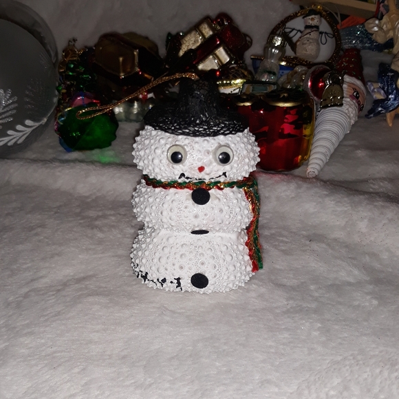 snowman made from 3 sea urchins has an adorable stubby spike body & googly eyes - Picture 6 of 7